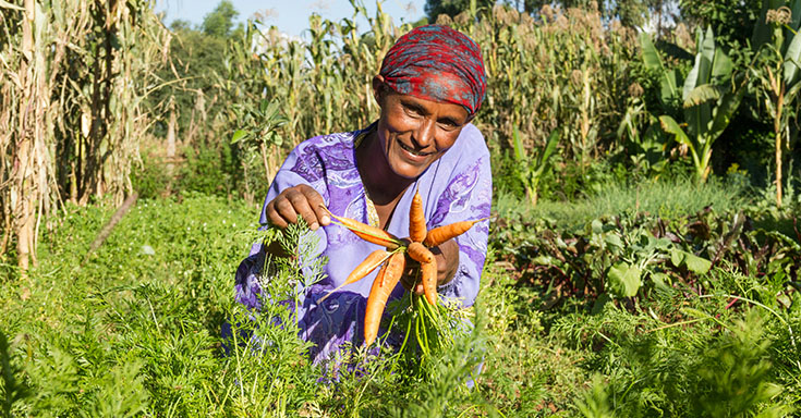 Frau im Feld mit Karotten (Foto)