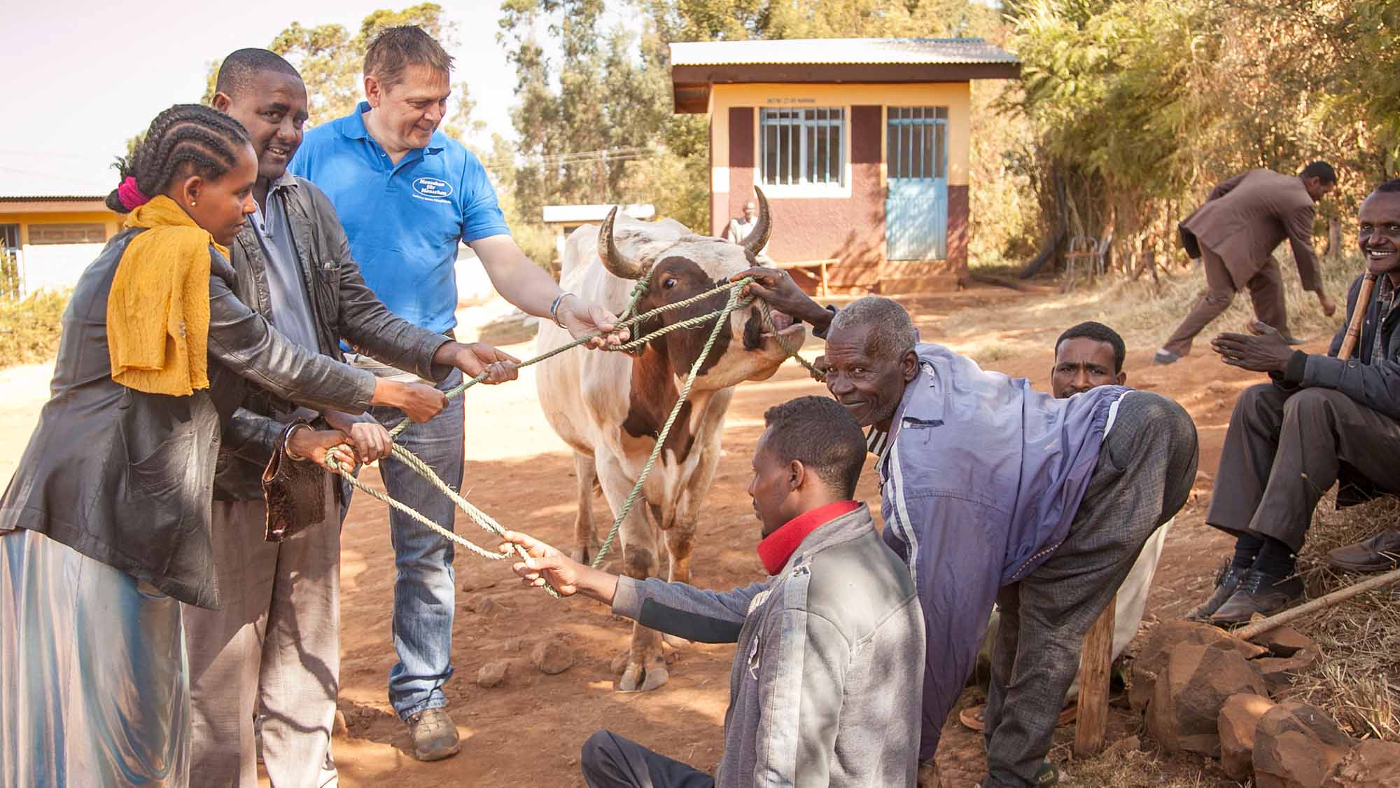 Der Stier ermöglicht ein unabhängiges Einkommen für die Mitglieder der Bifdu Behindertenorganisation. (Foto)