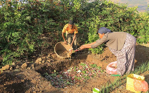 Workenesh und ihr Mann Megersa bearbeiten ihren Garten (Foto)