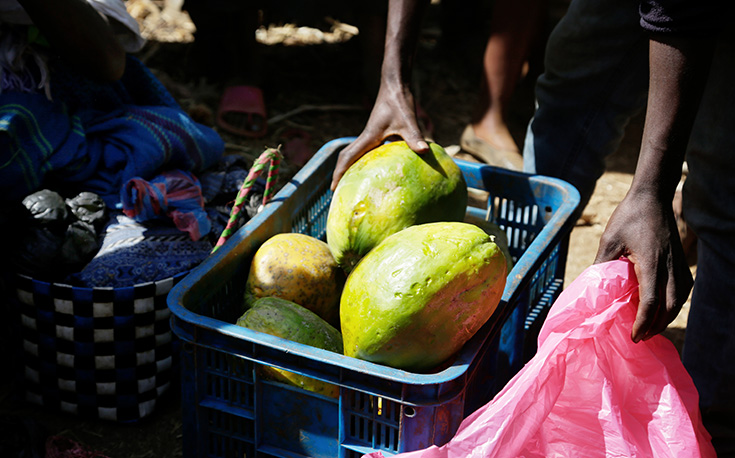 Papayas werden in eine Kiste verpackt (Foto)