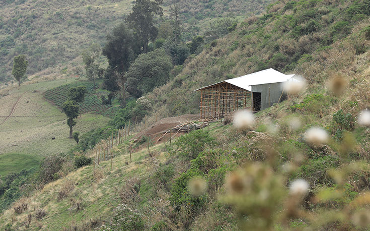 30.000 Setzlinge wurden im Aufforstungsgebiet von Chaka Aba Jote gepflanzt. Der Unterstand schützt künftig die Bienenstöcke der Kooperative vor Wind und Wetter. (Foto)