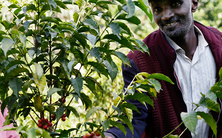 Heute liefern Fufa und seine NachbarInnen Obst, Gemüse und Kaffee zu den großen Märkten der Region. (Foto)